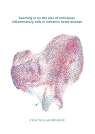 Zooming in on the role of individual inflammatory cells in ischemic heart disease