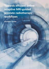 Towards efficient online adaptive MRI-guided prostate radiotherapy workflows