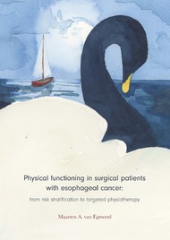 Physical functioning in surgical patients with esophageal cancer: