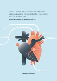 Direct cardiac and endothelial effects of sodium/glucose cotransporter 2 inhibitors and the role of the sodium/hydrogen exchanger 1