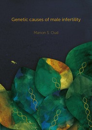 Genetic causes of male infertility
