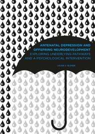 Antenatal depression and offspring neurodevelopment