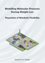 Modelling molecular processes in weight loss: