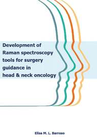 Development of Raman spectroscopy tools for surgery guidance in head & neck oncology