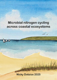 Microbial nitrogen cycling across coastal ecosystems