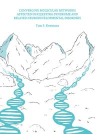 Converging molecular networks affected in Kleefstra syndrome and related neurodevelopmental disorders
