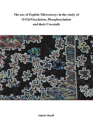 The use of Peptide Microarrays in the study of O-GlcNAcylation, Phosphorylation and their Crosstalk