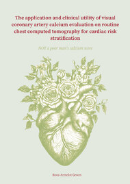 The application and clinical utility of visual coronary artery calcium evaluation on routine chest computed tomography for cardiac risk stratification
