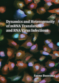 Dynamics and Heterogeneity of mRNA Translation and RNA Virus Infections