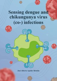 Sensing dengue and chikungunya virus (co-) infections