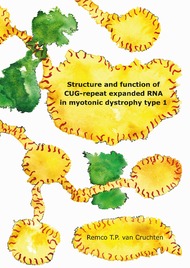 Structure and function of CUG-repeat expanded RNA in myotonic dystrophy type 1