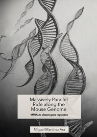 Massively Parallel Ride along the Mouse Genome