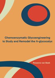 Chemoenzymatic Glycoengineering to Study and Remodel the N-glycocalyx