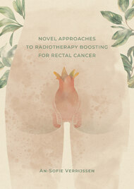 Novel approaches to radiotherapy boosting for rectal cancer