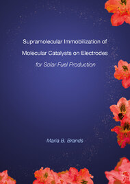 Supramolecular Immobilization of Molecular Catalysts on Electrodes