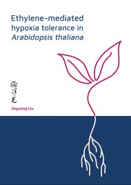 Ethylene-mediated hypoxia tolerance in  Arabidopsis thaliana