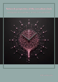Network properties of the circadian clock