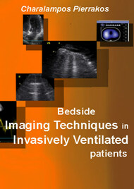 Bedside imaging monitoring techniques in invasively ventilated patients