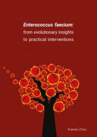 Enterococcus faecium: