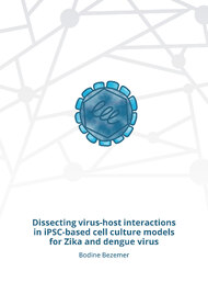 Dissecting virus-host interactions in iPSC-based cell culture models for Zika and dengue virus