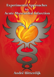 Experimental Approaches to Acute Myocardial Infarction