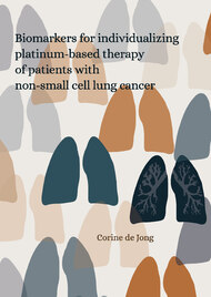 Biomarkers for individualizing platinum-based therapy of patients with non-small cell lung cancer