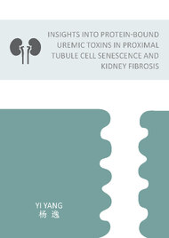 Insights into protein-bound uremic toxins in proximal tubule cell senescence and kidney fibrosis