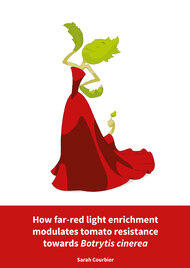 How far-red light enrichment modulates tomato resistance towards Botrytis cinerea
