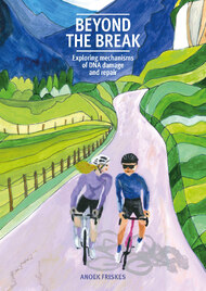 Beyond the break
