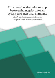 Structure-function relationship between homogalacturonan pectins and intestinal immunity