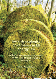 Towards ecological governance in EU energy law
