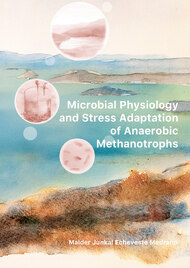 Microbial Physiology and Stress Adaptation of Anaerobic Methanotrophs