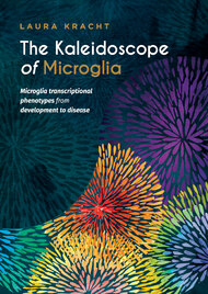 The Kaleidoscope of Microglia