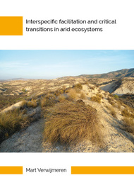 Interspecific facilitation and critical transitions in arid ecosystems