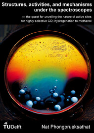 Structures, activities, and mechanisms under the spectroscopes