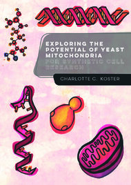 Exploring the potential of yeast mitochondria for synthetic cell research