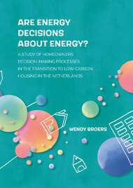 Are energy decisions about energy?