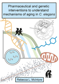 Pharmaceutical and genetic interventions to understand mechanisms of aging in C. elegans