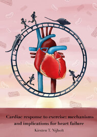 Cardiac response to exercise: mechanisms and implications for heart failure