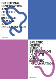 Intestinal innervation and its role in mucosal damage and inflammation & Splenic nerve bundle stimulation in acute and chronic inflammation 