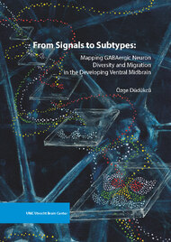 From Signals to Subtypes: