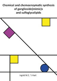 Chemical and chemoenzymatic synthesis of ganglioside(mimic)s and sulfoglycolipids