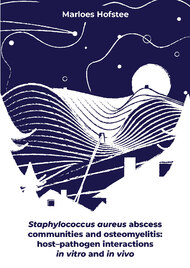 Staphylococcus aureus abscess communities and osteomyelitis
