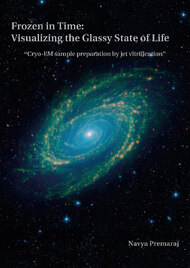 Frozen in Time: Visualizing the Glassy State of Life