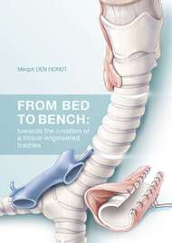 From bed to bench: towards the creation of a tissue-engineered trachea