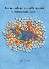 Energy coupling of metabolite transport in Saccharomyces cerevisiae