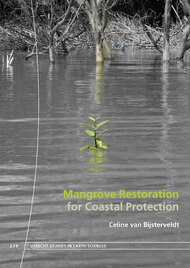 Mangrove Restoration for Coastal Protection