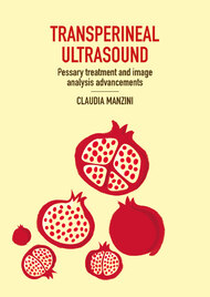 Transperineal ultrasound