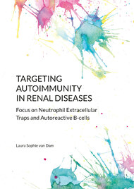 Targeting autoimmunity in renal diseases