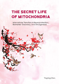 The Secret Life of Mitochondria: